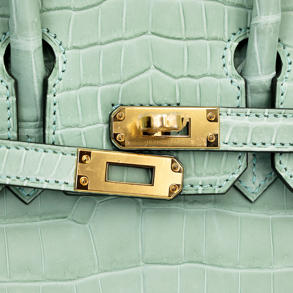 Hermès Birkin 25 Vert D'Eau Matte Porosus Crocodile GHW