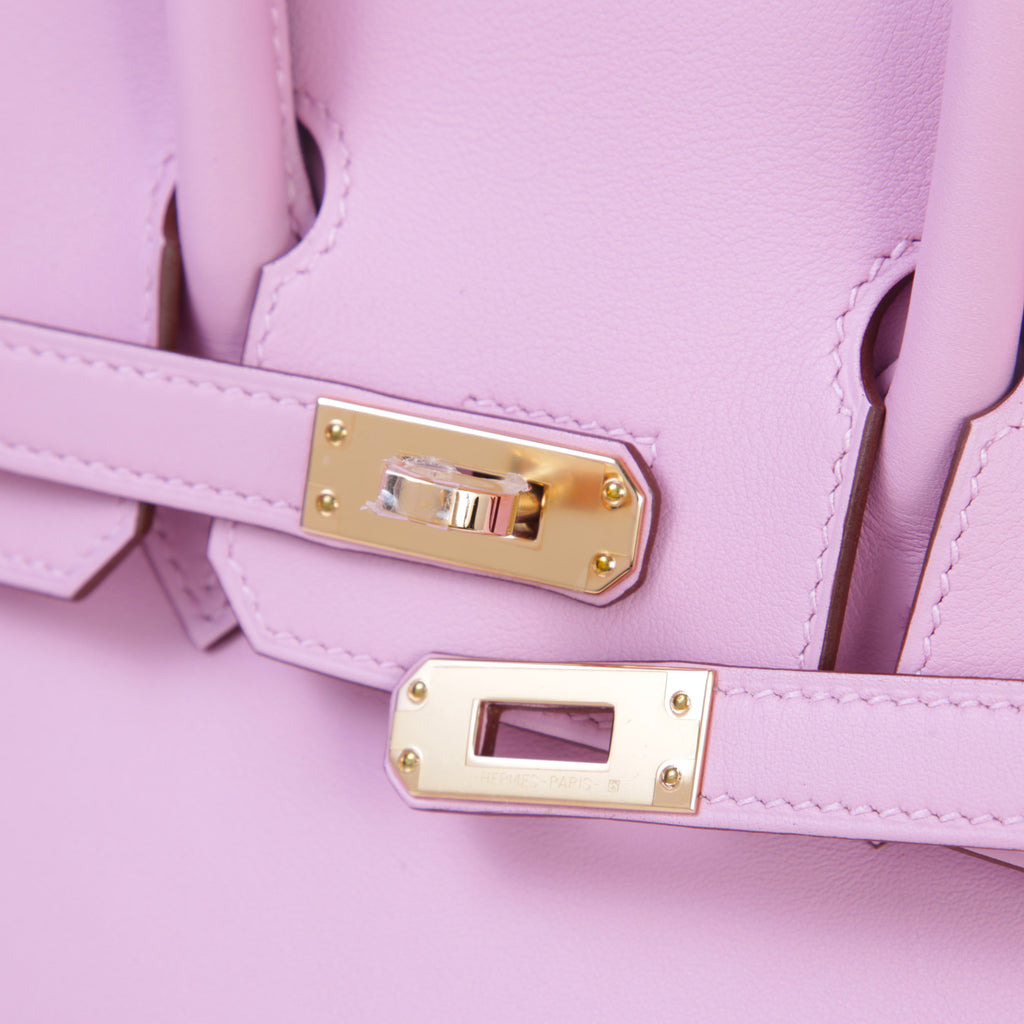 Hermès Birkin 25 Mauve Sylvestre RGHW