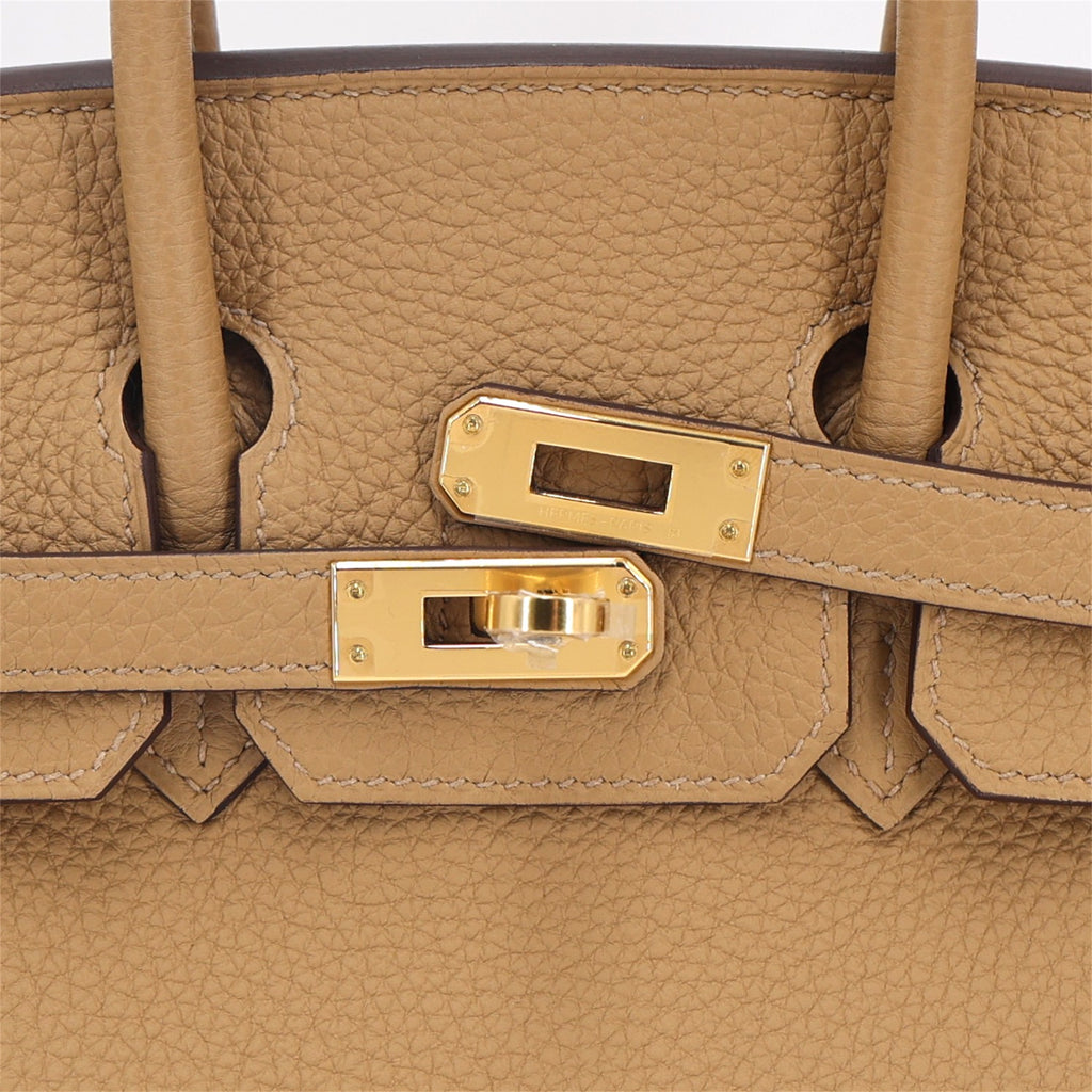Hermès Birkin 25 Biscuit GHW