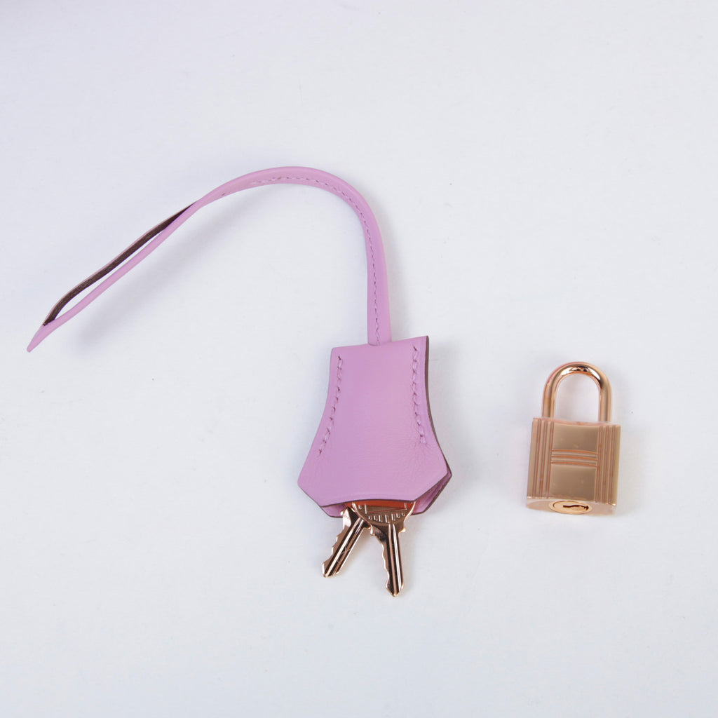 Hermès Birkin 25 Mauve Sylvestre RGHW